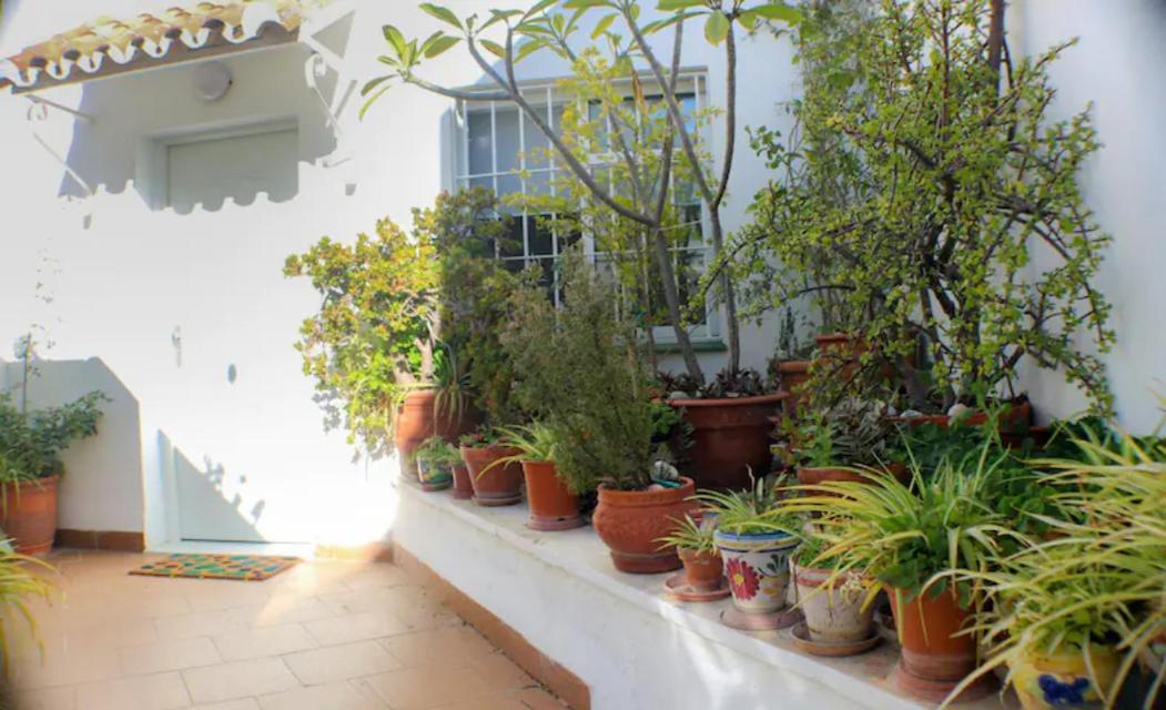 贝纳尔马德纳Atico Frente Al Mar - Vistas, Piscina, Terrazas, Parking!公寓 外观 照片